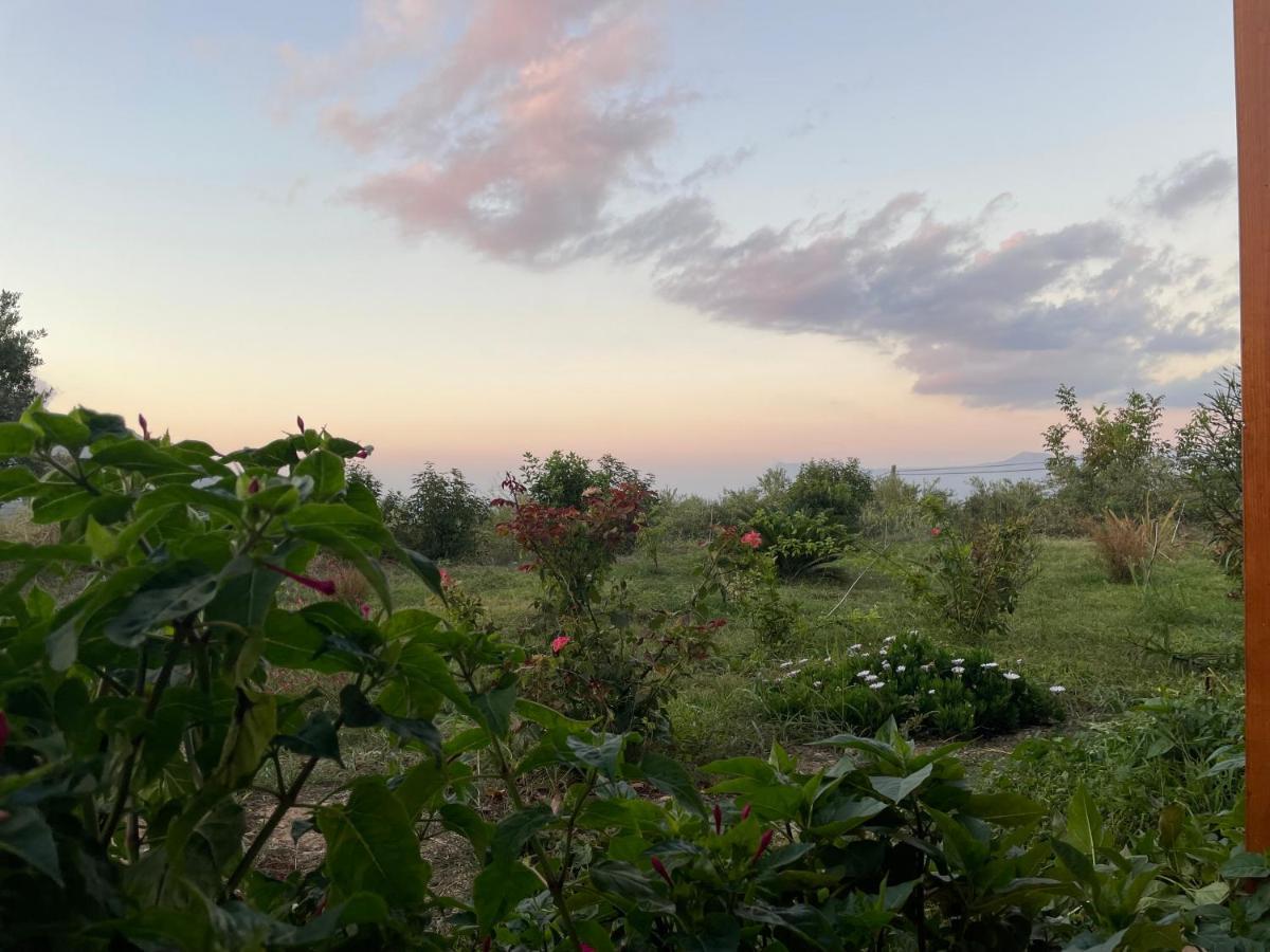 キサモス Chrissi'S House With Garden And Sea View Zervianaヴィラ エクステリア 写真